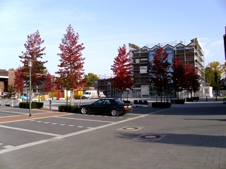 Foto vom Rathaus vom 19.10.2012