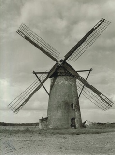 The tower windmill around 1950, view from the south